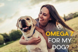 Omega 7 for Dogs