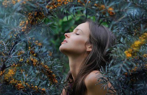 Sea Buckthorn for Acne & Eczema?