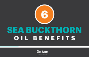 Dr. Axe & the Benefits of Sea Buckthorn - Infographic